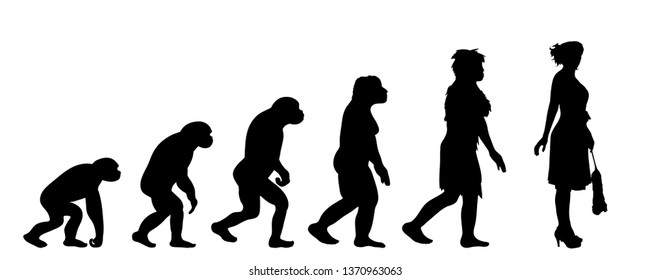 Painted theory of evolution of woman. Vector silhouette of homo sapiens. Symbol from monkey to cleaning lady.