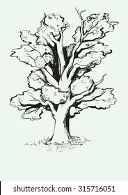  painted tree. oak.