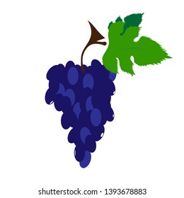 Painted vector illustration of painted grape on white background. Symbol of fruit, food,vegetarian,vegan.