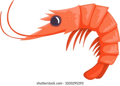 Painted Vector Shrimp Cartoon Style.