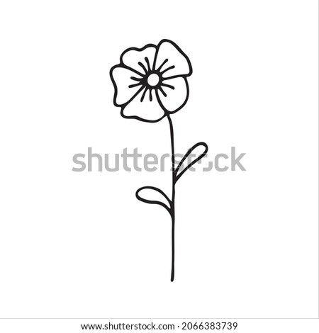 A painted Violet flower. Doodle style, black outline, drawing with floral elements, minimalism. Isolated. Vector illustration.