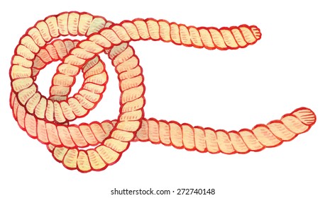 painted watercolor hand-drawing knot - bright rope with knots - vector elements for design