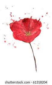 Painted watercolor poppy flower, VECTOR