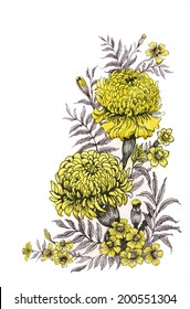gemalt gelber Chrysanthemumvektor