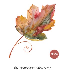 painting autumn foliage, watercolor leaf