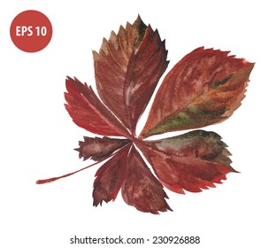 painting autumn foliage, watercolor leaf
