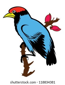 painting of a bird on the white background