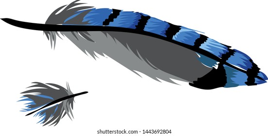 Painting blue bird feather. Vector illustration nature for decor print, poster and other illustration