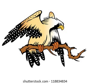 painting of eagle on white background