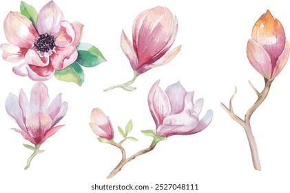 Painting Magnolia flower wallpaper. Hand drawn Watercolor floral illustration. Fower decorative  natural element. Vintage art  watecolour background.