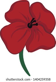 A painting of a red poppy flower with green stem and black pistils., vector, color drawing or illustration. 