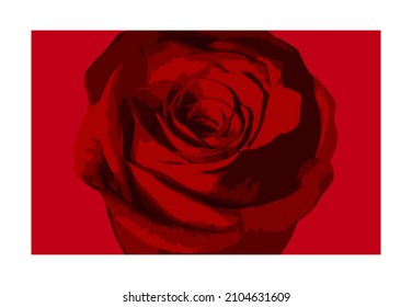 Gemälde einer roten Rose auf rotem Hintergrund