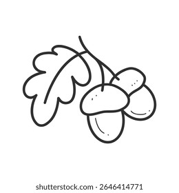 Um par de bolotas em ilustração de vetor estilo doodle linear isolado em um fundo branco. Ilustração em preto e branco.