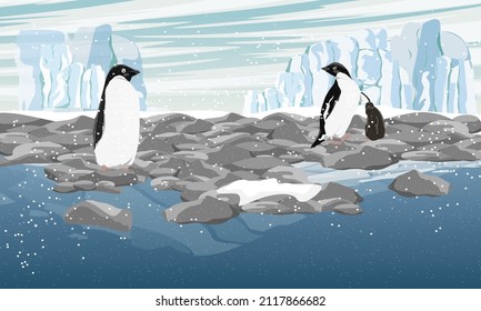 A pair of Adelie Penguin with a chick stands on an ocean pebbly shore with a glacier in the background. Birds of the South Poles. Realistic vector landscape