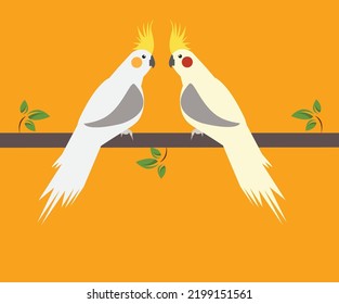 A pair of albino and lutino cockatiel in vector