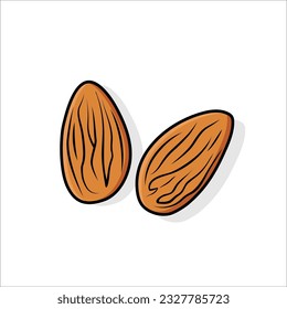 Pair of Almond with shadow isolated on white background