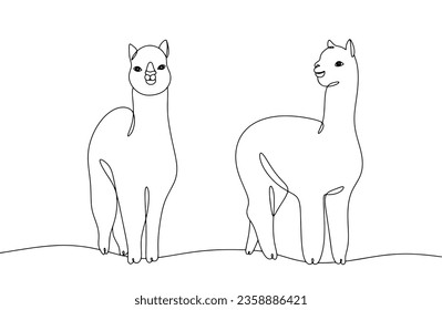 A pair of alpacas. Alpaca from different angles. Breeding alpacas. World Farm Animals Day. One line drawing for different uses. Vector illustration.