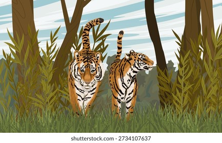 A pair of Amur tigers walk through a summer forest with green grass, bushes, and tall trees. Realistic vector landscape.