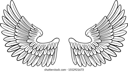 A pair of angel or eagle bird feathered wings