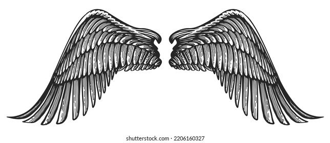 Pair Of Angel Wings In Vintage Engraving Style. Hand Drawn Heraldic Bird Wing Vector Illustration