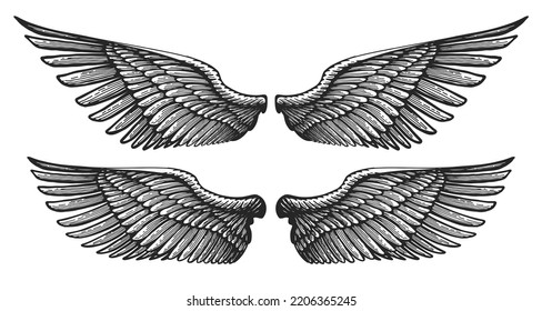 Pair Of Angel Wings In Vintage Engraving Style. Hand Drawn Heraldic Bird Wing. Vector Illustration
