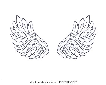 A pair of angel wings, wide open. Contour drawing in modern flat line style. Vector illustration, monochrome, isolated on white. 