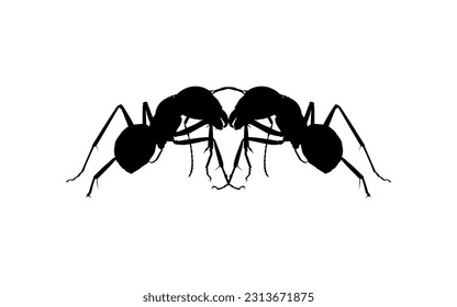 Pair of the Ant Silhouette for Art Illustration, Logo, Pictogram, Website, or Graphic Design Element. Vector Illustration