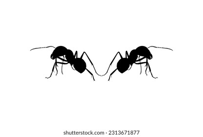 Pair of the Ant Silhouette for Art Illustration, Logo, Pictogram, Website, or Graphic Design Element. Vector Illustration