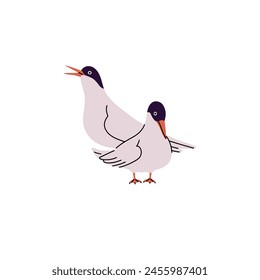 Pair of arctic terns. Cute couple of sternas. Northern birds with colored beak. Polar seabirds. Wild antarctic fauna. Animals of cold north. Flat isolated vector illustration on white background