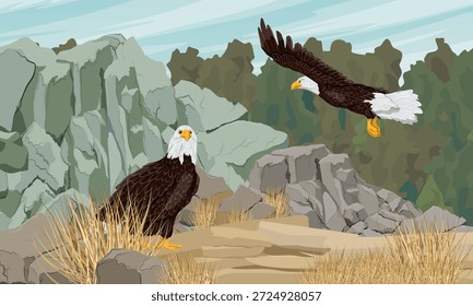 Um par de águias-de-cabeça-branca em um vale de montanha. Aves de rapina selvagens no inverno. Paisagem vetorial realista