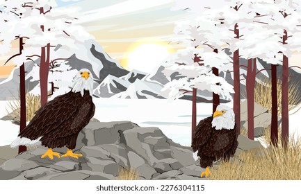 A pair of bald eagles sit on rocks in a mountain valley. Winter in the mountains. Realistic vector landscape