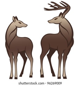 pair of beautiful deers looking at each other