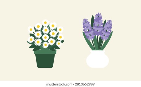 Pair of beautiful flower pots featuring white blooming daisies and purple hyacinth blossoms on cream.