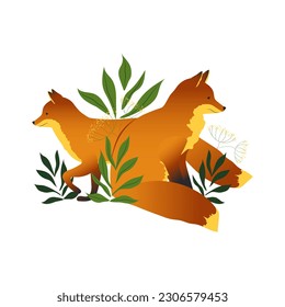 Pair of beautiful red wild foxes with forest plants isolated on white background. Vector.
