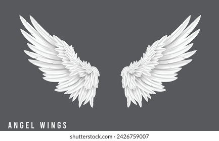 Pair of beautiful white angel wings isolated.