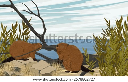 A pair of beavers stand on a rocky river bank. Realistic vector landscape