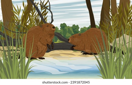 A pair of beavers stand on the shore of a lake in thickets of tall grass. Realistic vector landscape