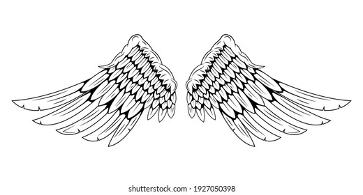 Pair of bird wings isolated on white background. Angel wings. Wings for tattoo. Design element.