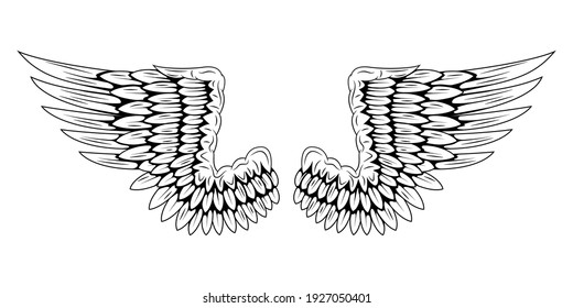 Pair of bird wings isolated on white background. Angel wings. Wings for tattoo. Design element.