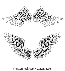 Pair of bird wings isolated on white background. Angel wings. Wings for tattoo. Design element.