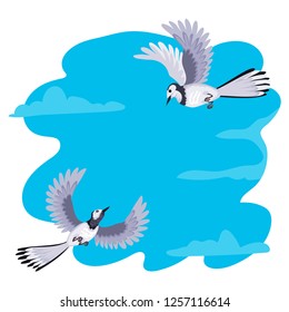 Pair of birds of gray wagtails flies in the sky. They look at each other, flapping their wings. Vectral illustration of wild animals