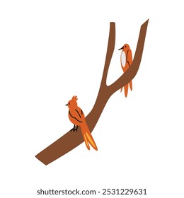 Un par de pájaros están sentados en las ramas de un árbol. Un colorido Vector de fauna exótica, ideal para un diseño minimalista con Elementos de naturaleza exótica