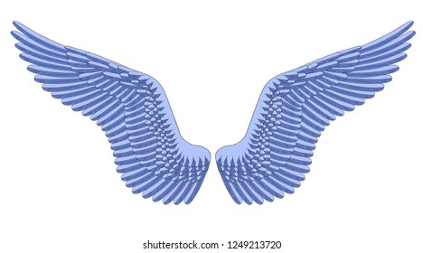 Pair of bird's wing with detailed feathers in light blue color. Linear drawing. Vector illustration