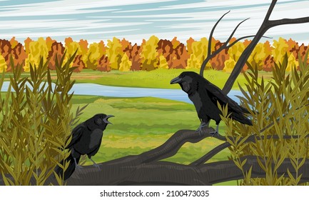 A pair of black crows are sitting on a branch of a felled tree. A meadow with a river and an autumn forest. Wild crow Corvus corax. Realistic vector landscape