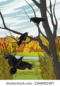 A pair of black crows are sitting on a branch of a tree. A meadow with a river and an autumn forest. Wild crow Corvus corax. Realistic vertical vector landscape