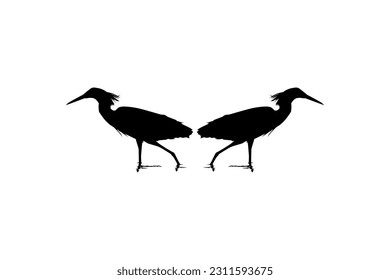 Par de la Pájara de la Perla Negra (Egretta Ardesiaca), también conocida como la Silhouette de Egret Negro para Ilustración de Arte, Logo, Pictograma, Sitio Web o Elemento de Diseño Gráfico. Ilustración vectorial
