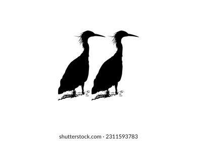 Pair of The Black Heron Bird (Egretta Ardesiaca), also known as the Black Egret Silhouette for Art Illustration, Logo, Pictogram, Website, or Graphic Design Element. Vector Illustration