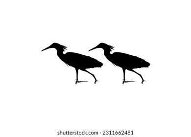Pair of The Black Heron Bird (Egretta Ardesiaca), auch bekannt als Black Egret Silhouette for Art Illustration, Logo, Piktogramm, Website oder Graphic Design Element. Vektorgrafik