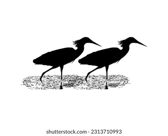 Pair of The Black Heron Bird (Egretta Ardesiaca), also known as the Black Egret Silhouette for Art Illustration, Logo, Pictogram, Website, or Graphic Design Element. Vector Illustration