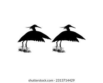 Pair of The Black Heron Bird (Egretta Ardesiaca), also known as the Black Egret Silhouette for Art Illustration, Logo, Pictogram, Website, or Graphic Design Element. Vector Illustration